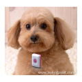 4G Pet GPS Tracker